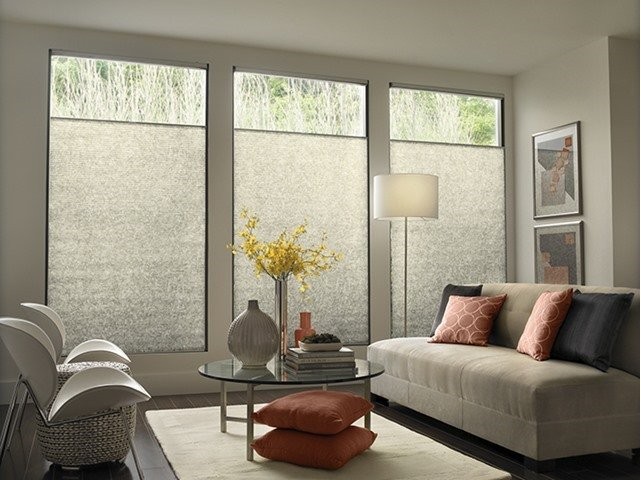 Hunter Douglas Dealer Image